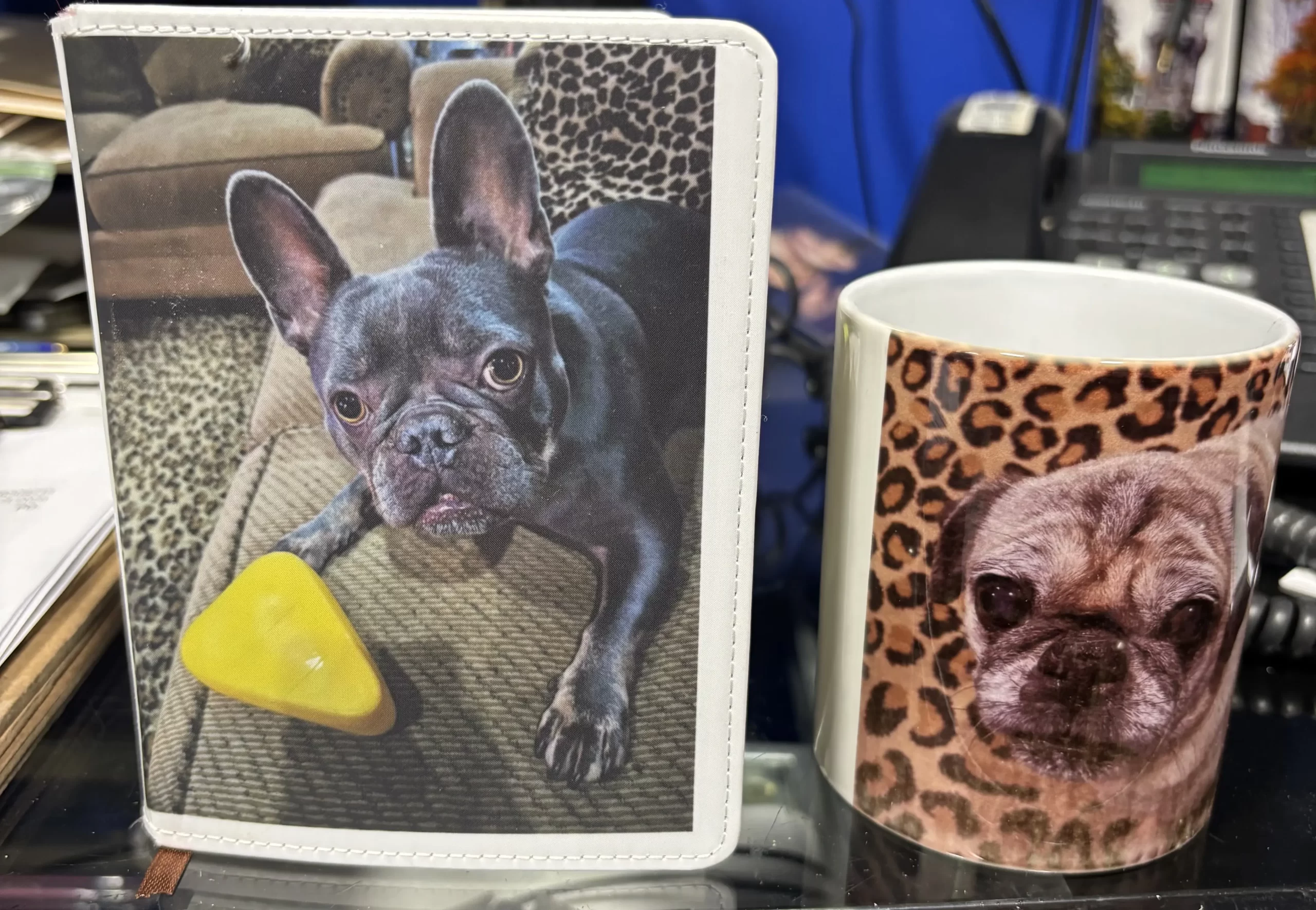 Dye Sub (Heat Press) rental in Philadelphia PA