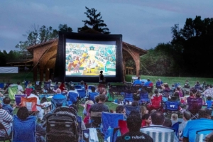 Inflatable Movies graduation party rental by Party Pros East Coast