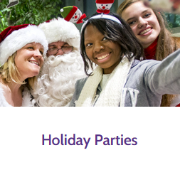 Holiday party rentals and winter celebrations from Party Pros East Coast