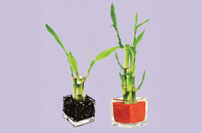 crafts-bamboo