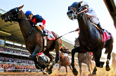 horse-race