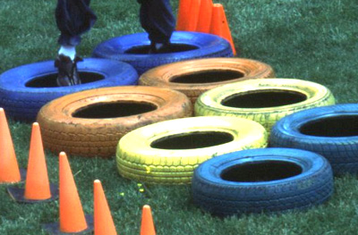 Outrageous Obstacle Course rental in Philadelphia PA