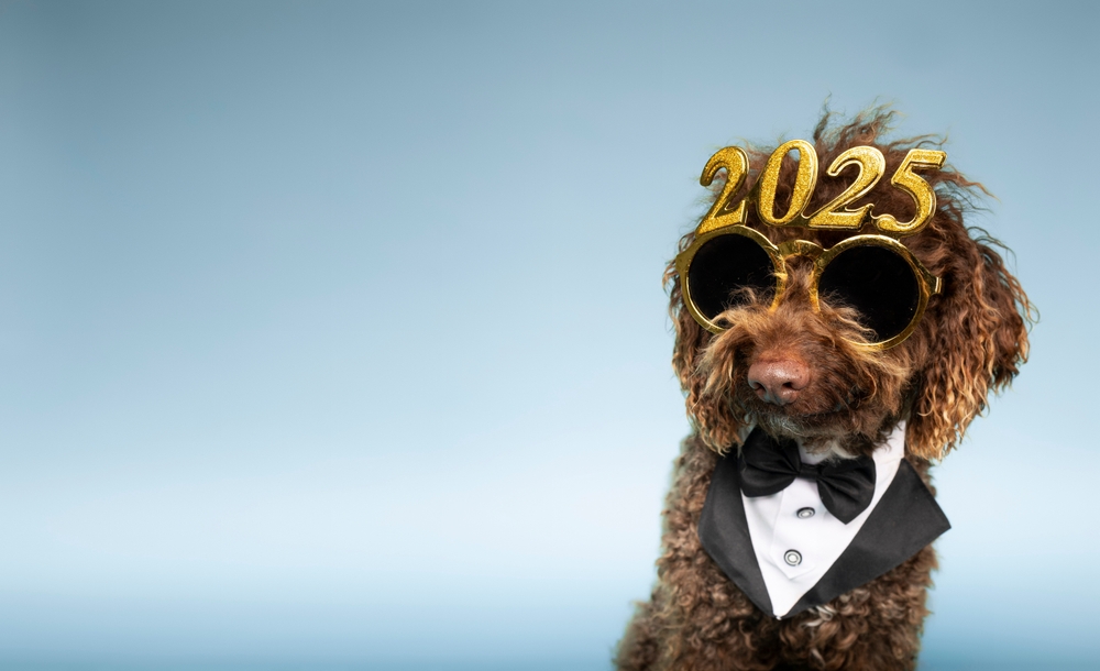 360 photo booth rental Philadelphia